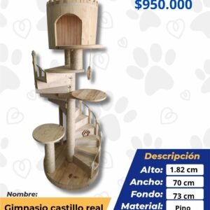 GIMNASIO CASTILLO REAL