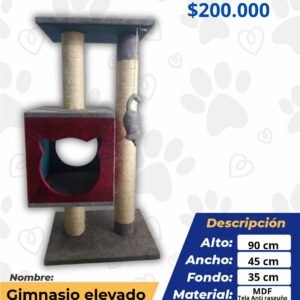 GIMNASIO ELEVADO