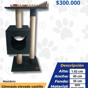 GIMNASIO ELEVADO CASTILLO